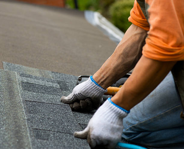 Best Roof Repair Services  in Castalia, OH